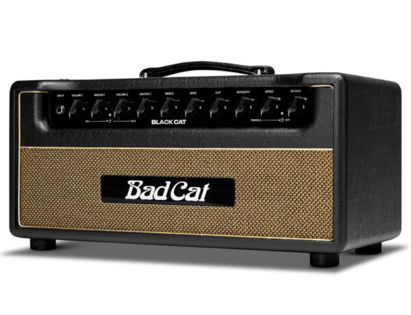 Bad Cat Black Cat Amplifier Head [New] - Image 2