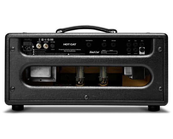 Bad Cat Hot Cat Amplifier Head [New] - Image 2