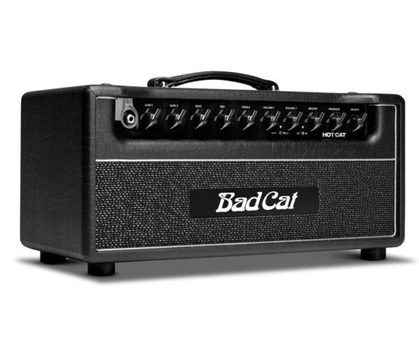 Bad Cat Hot Cat Amplifier Head [New] - Image 4