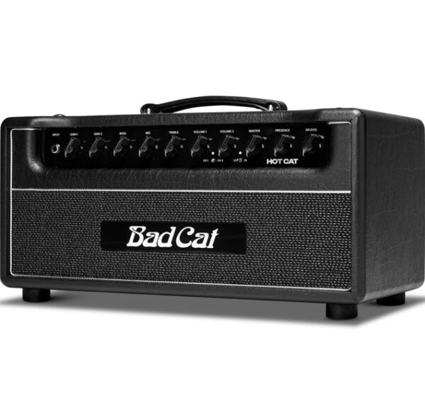Bad Cat Hot Cat Amplifier Head [New] - Image 3